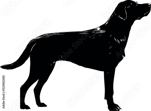 elegant black labrador retriever dog silhouette vector illustration in standing side profile pose