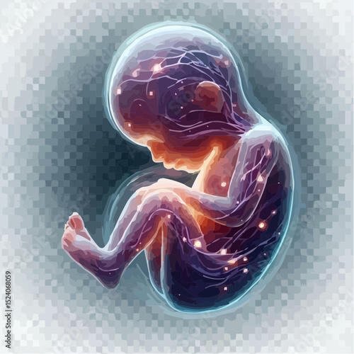 a comfortable baby in its mother's womb 54
