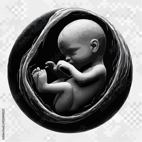 a comfortable baby in its mother's womb 32