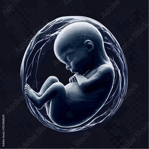 a comfortable baby in its mother's womb 28