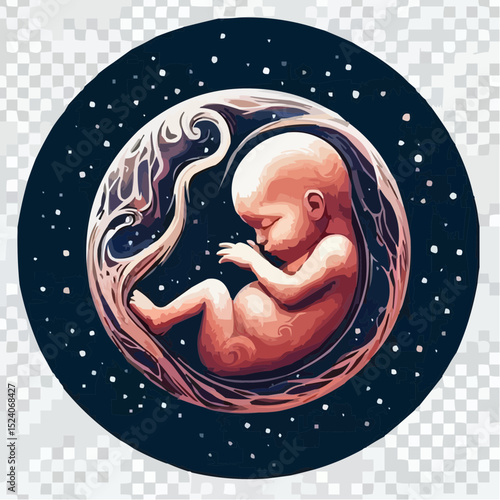 a comfortable baby in its mother's womb 8