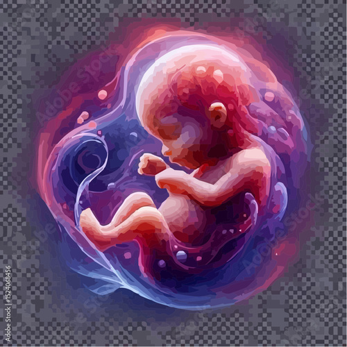 a comfortable baby in its mother's womb 6