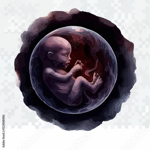 a comfortable baby in its mother's womb 4