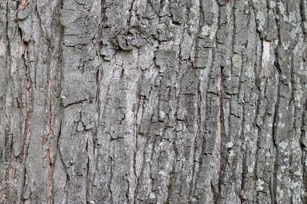 Naklejka premium Landscapes