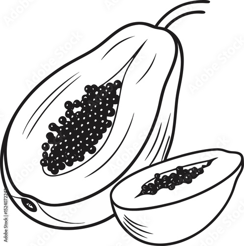 Detailed black and white illustration of sliced papaya revealing seeds representing tropical fruit and healthy eating concepts