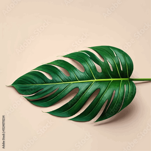 Monstera Leaf Displays Intricate Veins and Unique Fenestrations in Lush Detail


