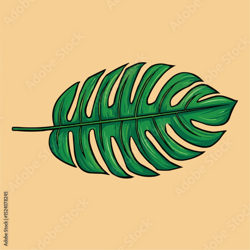 Monstera Leaf Displays Intricate Veins and Unique Fenestrations in Lush Detail

