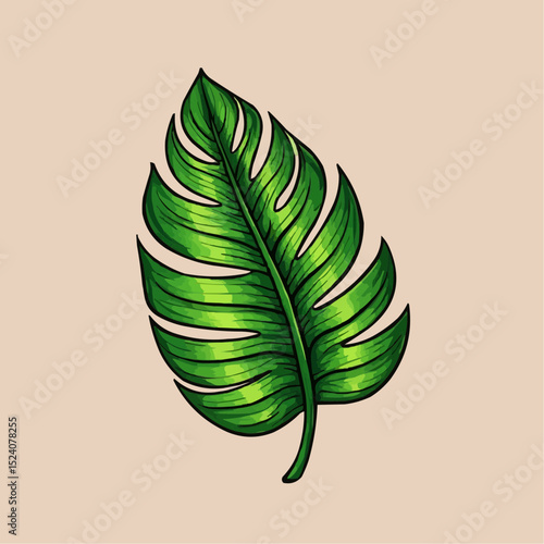 Monstera Leaf Displays Intricate Veins and Unique Fenestrations in Lush Detail

