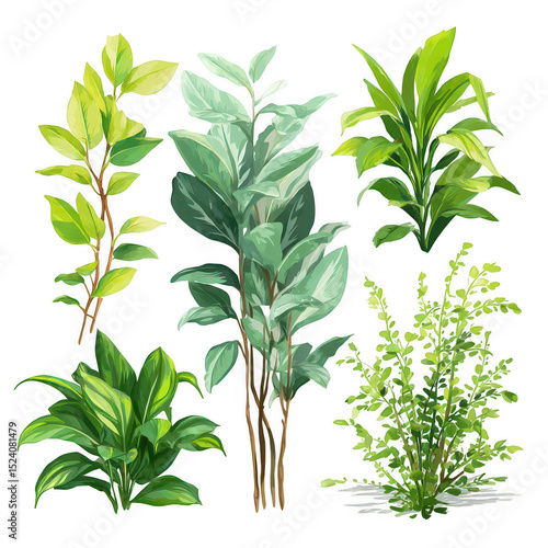 Collection of Colorful Tropical Plants and Fresh Green Foliage for Natural Home Decor and Interior Design Inspiration