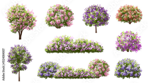 set of flowers, Vertor set of spring blossom tree,bloomimg plants side view for landscape elevation and section,eco environment concept design,watercolor sakura illustration,colorful season