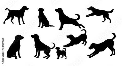 Collection of various dog silhouettes in different poses vector illustration