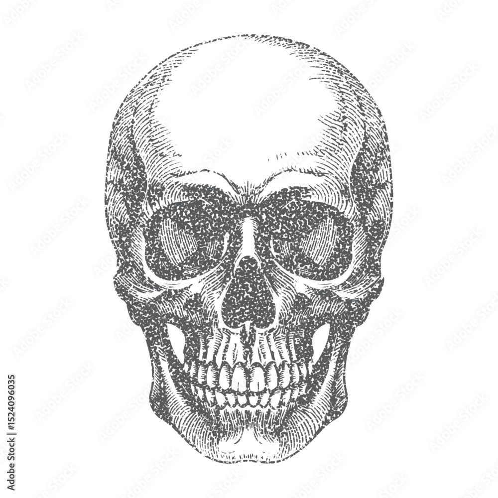 Fototapeta premium Stipple skull with gritty photocopy halftone texture and grunge aesthetic. Perfect for punk and gothic collage projects. Vector illustration