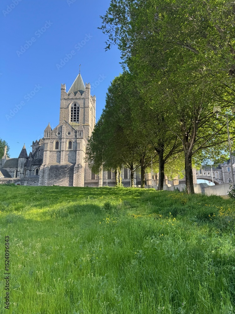 Fototapeta premium Christ church cathedral in Dublin, Ireland 