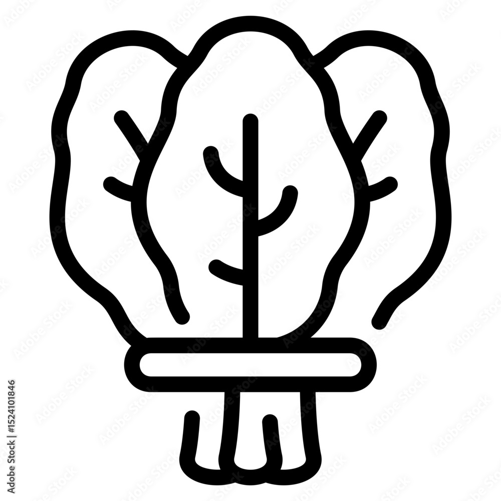 Obraz premium Spinach