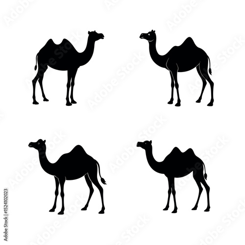 camels vector illustration