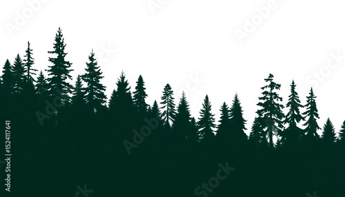 Long panoramic vector illustration of a dark green Black Forest silhouette, featuring spruce and fir trees against a white background,  outdoor,  image
