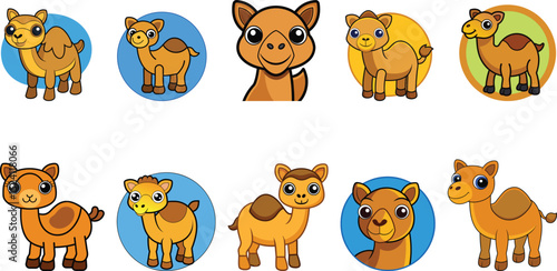 cute baby camel cartoon set vector illustration