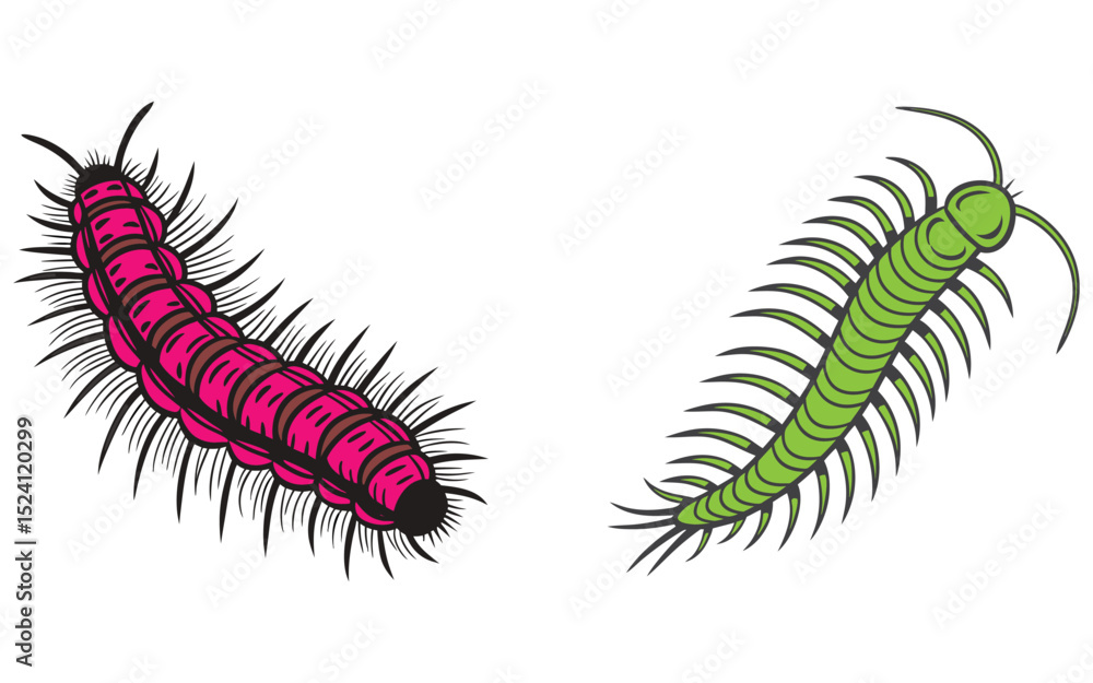 Fototapeta premium Bristle worm bundle set design isolated on white background and illustrator eps 10