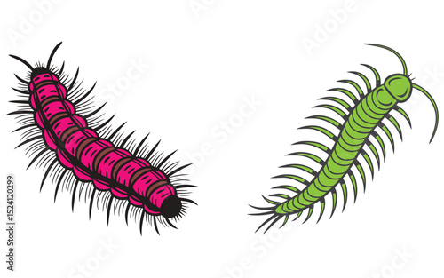 Bristle worm bundle set design isolated on white background  and illustrator eps 10