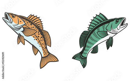 Perch fish  bundle set design isolated on white background  and illustrator eps 10