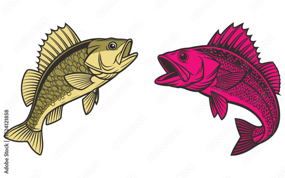 Fototapeta premium Perch fish bundle set design isolated on white background and illustrator eps 10