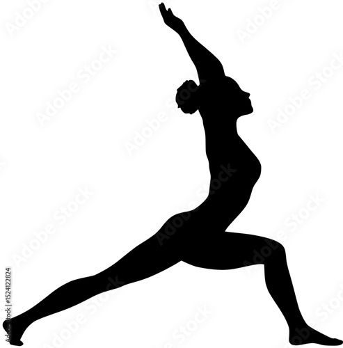 Yoga Warrior Pose Silhouette: Strength and Serenity