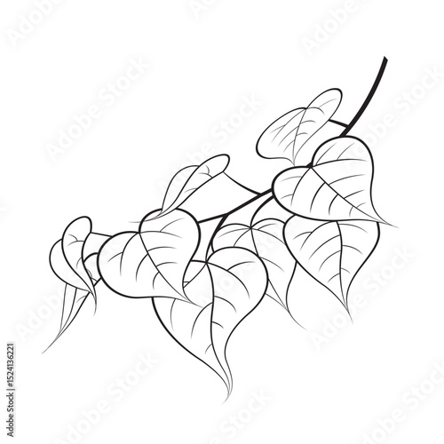 tree branch with leaves in outline vector icon