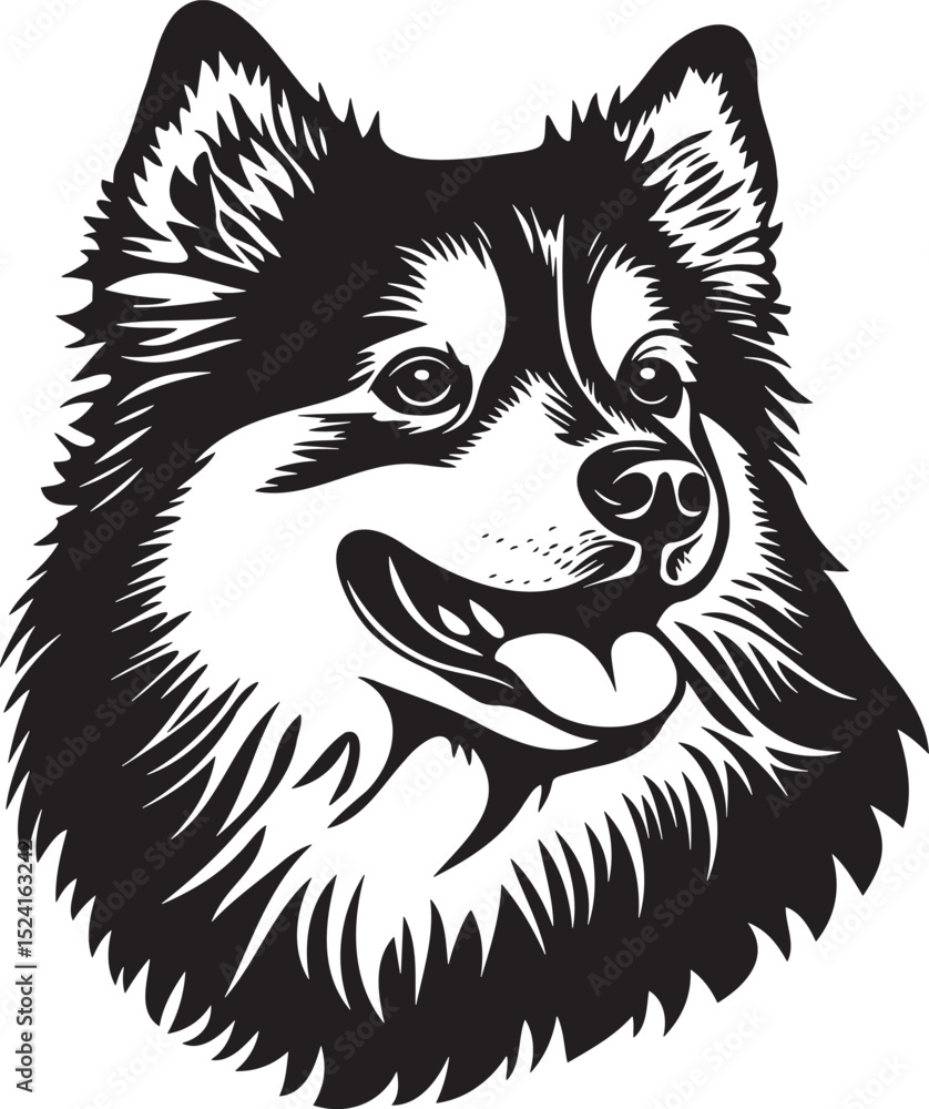 Naklejka premium finnish lapphund dog portrait