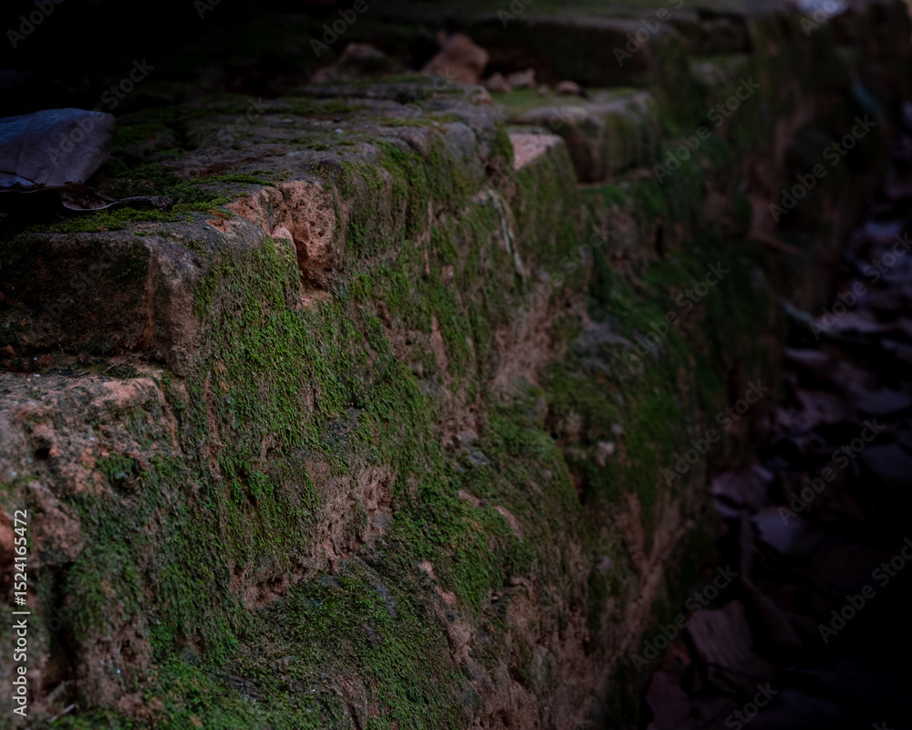 Obraz premium Ancient temples of the abandoned city of Angkor, near the city of Siem Reap, Cambodia