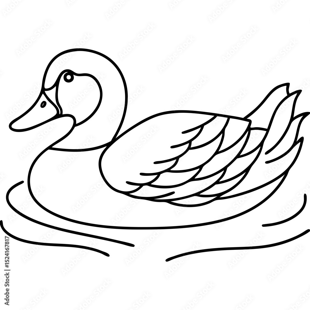 Obraz premium Duck swimming in pond. Waterfowl floats peacefully on calm water. Detailed line drawing of domestic duck for children's book illustrations.