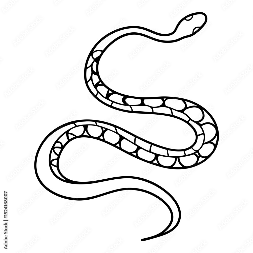 Fototapeta premium Coiled snake illustration. Detailed snake drawing shows reptile body, scales, and graceful curves. This elegant snake image is perfect for designs needing a unique, stylish reptile graphic.