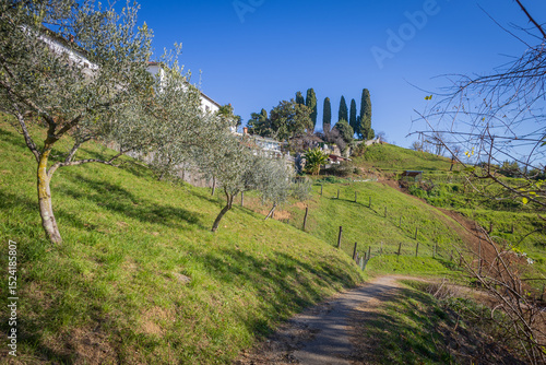 Green landscape of Kostanjevica Monastery Hill, Nova Gorica, European Capital of Culture 2025, Slovenia, Europe