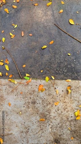Contrasting Pavement Textures with Scattered Autumn Leaves