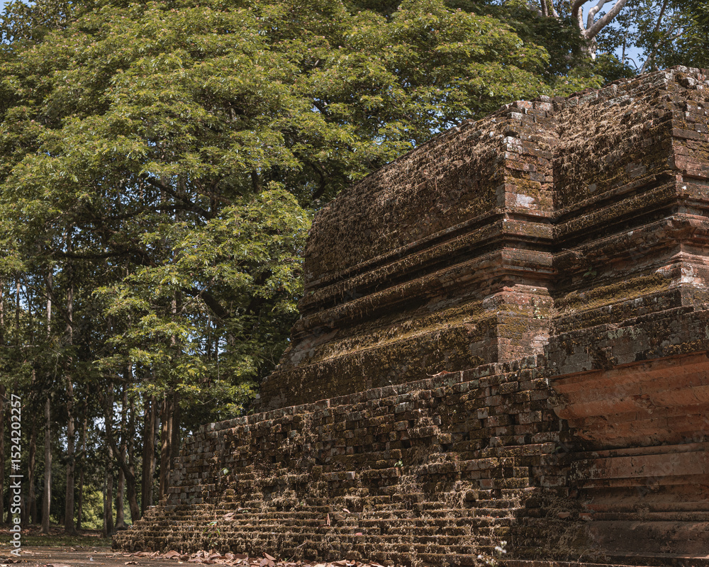 Fototapeta premium Ancient temples of the abandoned city of Angkor, near the city of Siem Reap, Cambodia