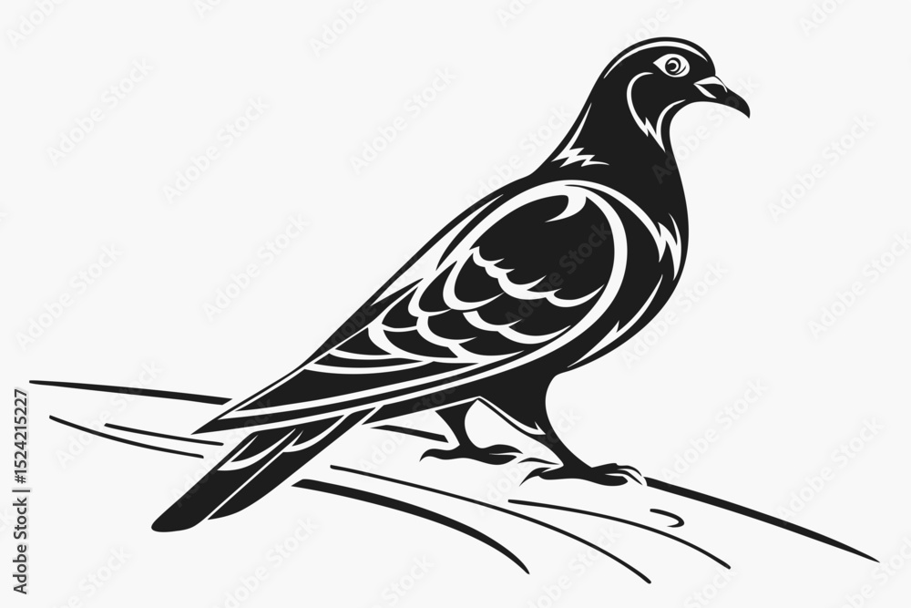 Fototapeta premium pigeon sihouette black vector