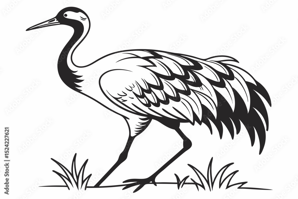Fototapeta premium cranes bird sihouette black vector bundle