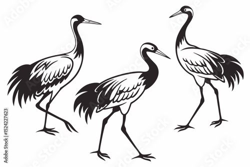 cranes bird sihouette black vector bundle
