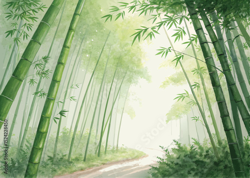 Bamboo forest illustration wallpaper background green nature zen asian oriental serene peaceful tranquility art
