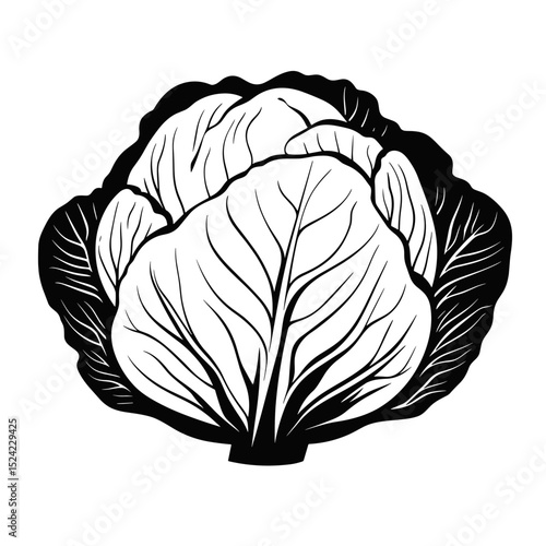Black and white silhouette of a cabbage with detailed leaf structure