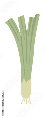 Spring onion vegetable with long green leaves and white bulb, isolated on white background, representing healthy eating, organic farming, and culinary ingredients