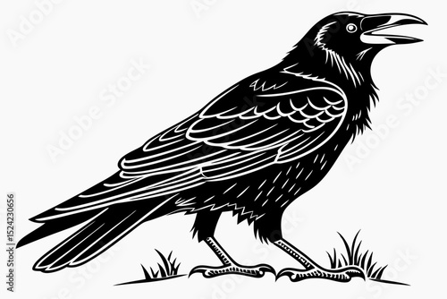 rook bird sihouette black vector