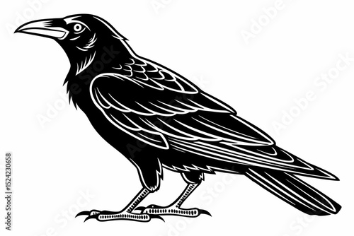 Photos rook bird sihouette black vector