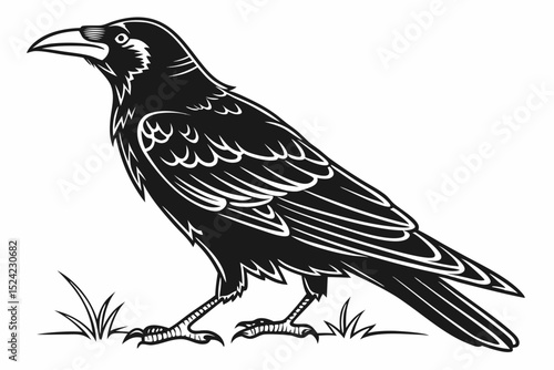 rook bird sihouette black vector