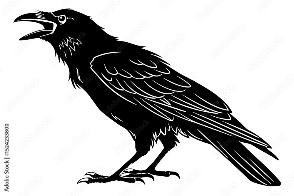 Fototapeta premium raven sihouette black vector