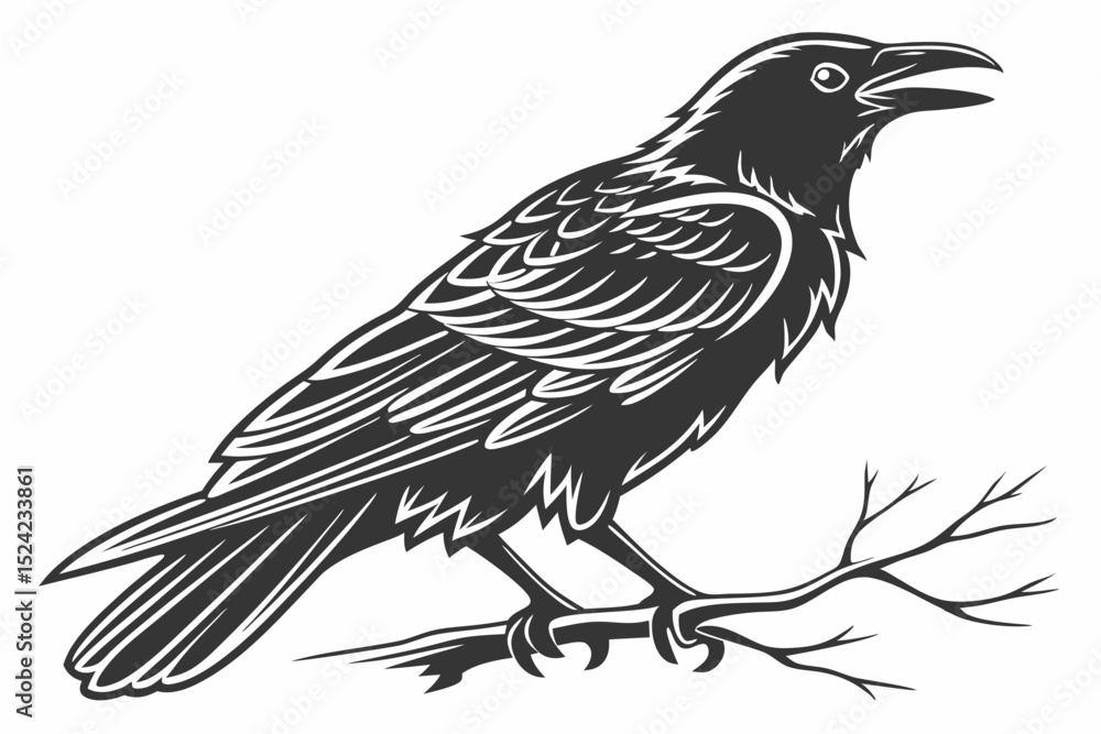 Fototapeta premium raven sihouette black vector