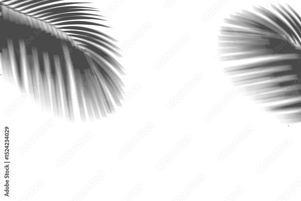 Obraz premium coconut shadow isolated white background