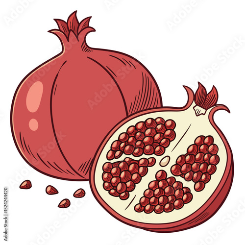 Pomegranate fruit illustration whole and halved with seeds vector graphic design healthy food clip art
