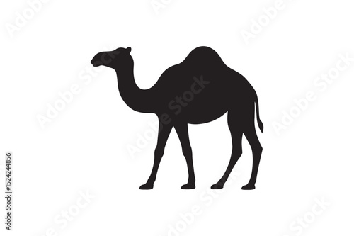 Camel silhouette on white background.01