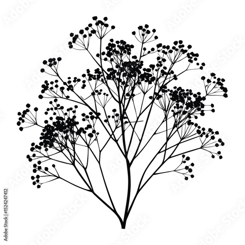 Black and white baby's breath flower silhouette vector illustration graphic design element art 
