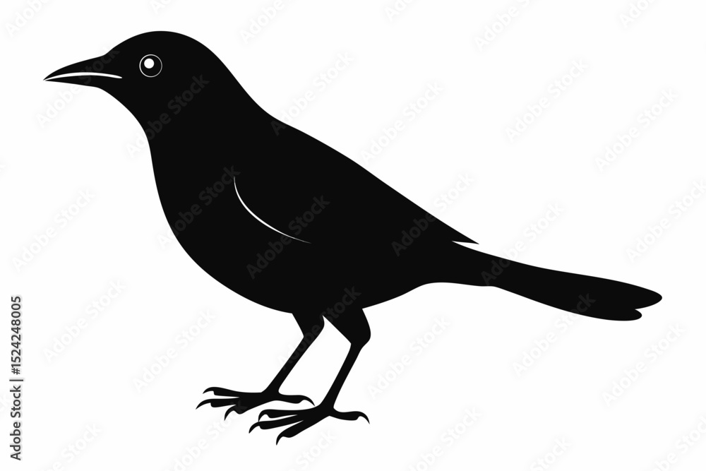 Fototapeta premium blackbird sihouette black vector